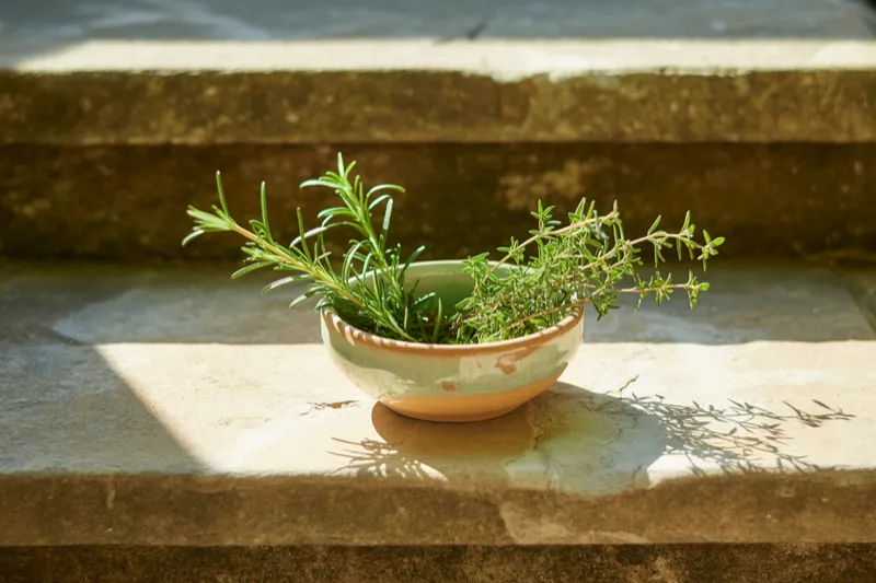 Why Healthy Habits Keep Slipping Back