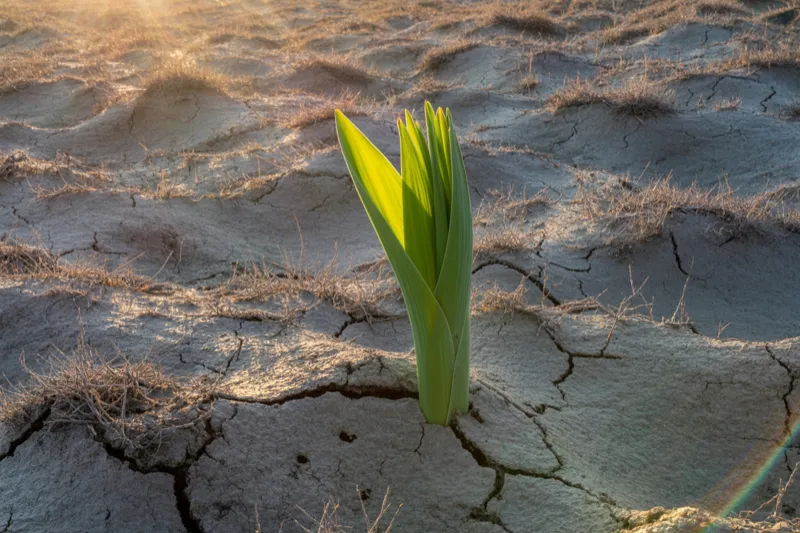 The Feeling of Lack Won't Go Away