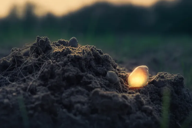 Why Visualisation Is Making Manifestation Harder